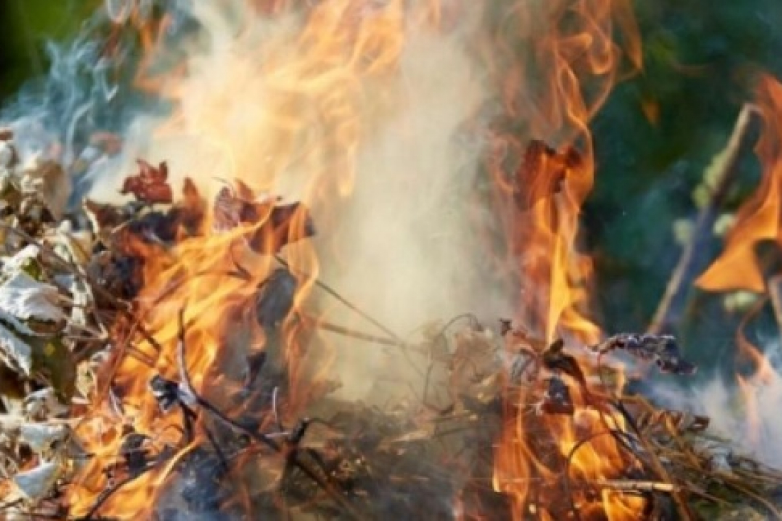 Украинцев призывают перестать жечь листья