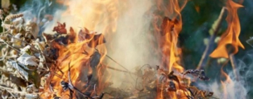 Украинцев призывают перестать жечь листья