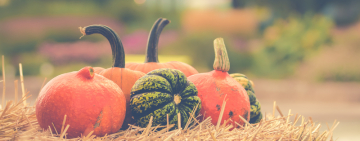 ИНДИВИДУАЛЬНЫЙ ГОРОСКОП НА 24 ОКТЯБРЯ