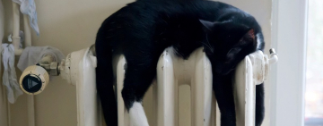 Отопительный сезон начался во всех областях Украины, кроме Одесской и Харьковской