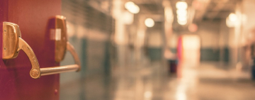 Годовалая малышка из Одессы отравилась, съев гриб