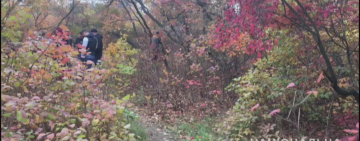 Ушла гулять и не вернулась: под Одессой найдено тело 14-летней девочки