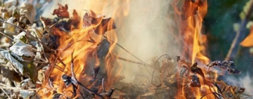 У поліції нагадують: спалювання листя та сухостою – протизаконно