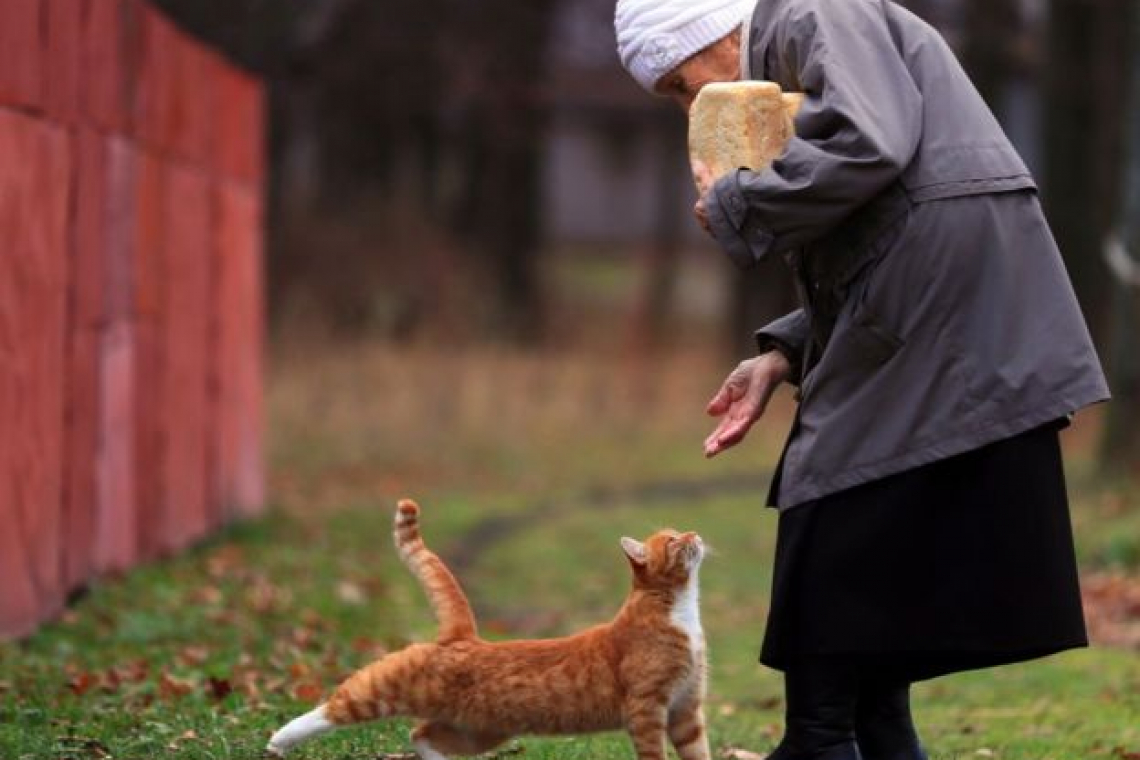 13 ноября - Всемирный день доброты. Как жить добрее в современном мире?