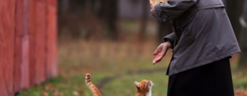 13 ноября - Всемирный день доброты. Как жить добрее в современном мире?