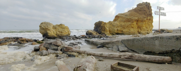  Мёртвого дельфина снова обнаружили на одесском побережье Чёрного моря