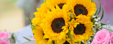 Гороскоп на 22 ноября