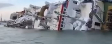 В Румынии затонуло судно, переправлявшее 14 000 овец (ВИДЕО)