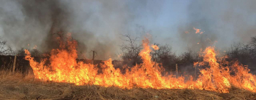 Арцизька РДА нагадує про бережливе ставлення до екосистем