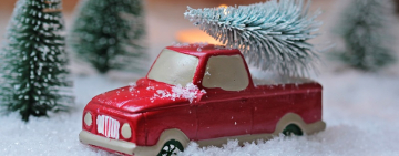 В Одесской области сезон продажи живых ёлок открыт!