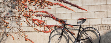 АСТРОПРОГНОЗ НА 28 НОЯБРЯ