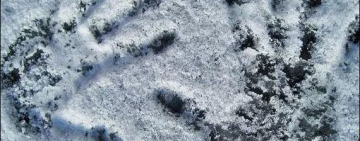 В селе Шевченково Килийской ОТГ ночью замерз мужчина