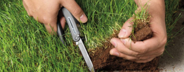 Благодаря Белгород-Днестровской прокуратуре двум школам возвращены земли общей стоимостью более 1млн 200тыс гривен