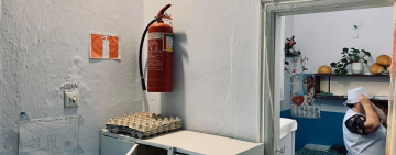 ШОК: первые результаты внеплановых проверок образовательных учреждений