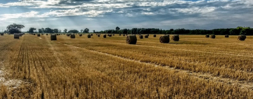 Комітет ВР рекомендував нардепам ухвалити закон про ринок землі