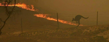 Австралия в огне: горит весь  континент - кадры NASA и мировых СМИ