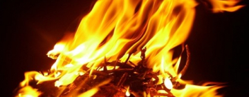 Сумна статистика ДСНС. З початку року в пожежах загинули 29 громадян.