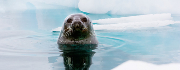 Крещенские купания: 5 советов от опытных 