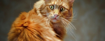 Чего ждать от погоды на Одесчине 21-25 января?