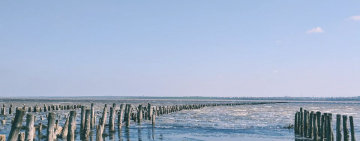 В Одеській області створять національний природний парк