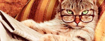 Землетрясение, перебои со связью и отключение водоснабжения - день в Арцизе удался