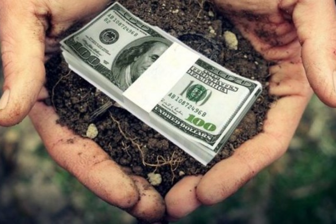 Законопроєкт про запуск ринку землі знову розглянуть у лютому. Що варто знати?