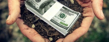 Законопроєкт про запуск ринку землі знову розглянуть у лютому. Що варто знати?