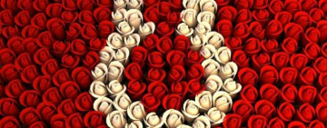 8 Марта: будут ли украинцы отдыхать в этот день?