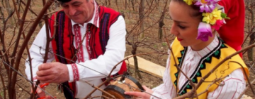 Афиша: 15 февраля -  фестиваль 