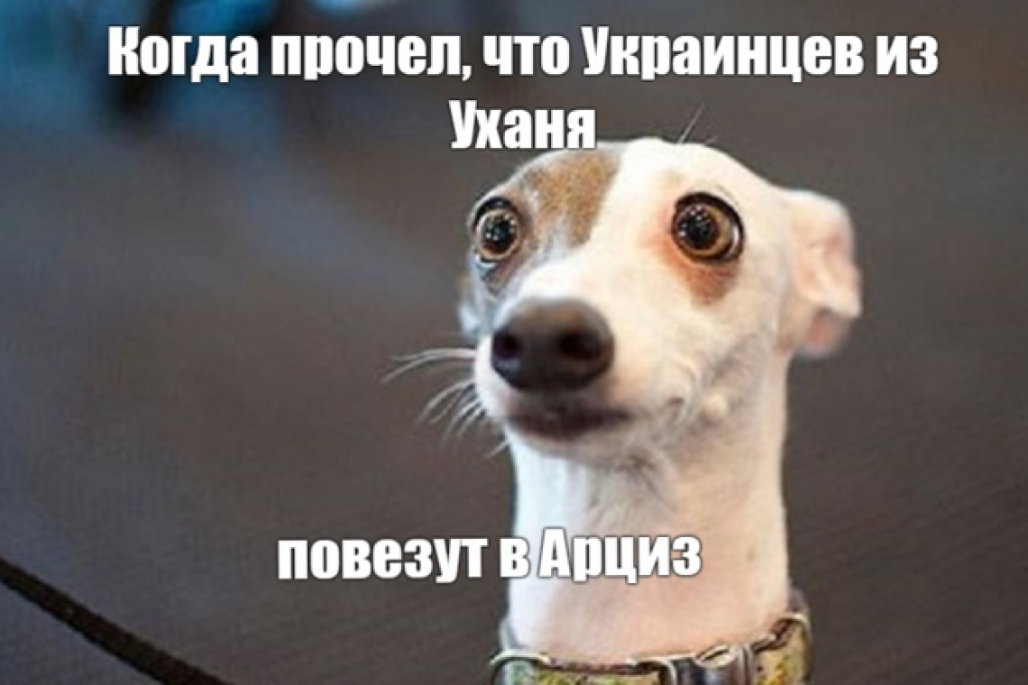 Украинцы из Уханя, сплошная «зрада», мэр - супер-герой, или как  из вас делают послушных зомби
