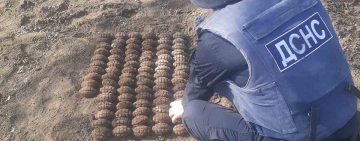 Житель Саратского района нашел на огороде 102 гранаты