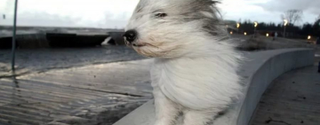 ФОТОФАКТ: циклон 