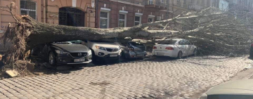 НЕПОГОДА: оперативные сводки ГУ ГСЧС в Одесской области