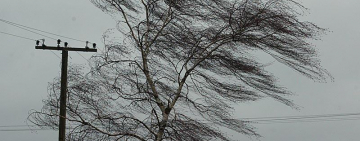 Три циклона на нашу голову: погода на неделю в Одесской области