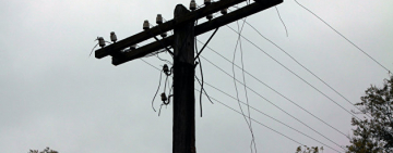 НЕПОГОДА: 146 городов и сёл до сих пор без света - Одессаоблэнерго