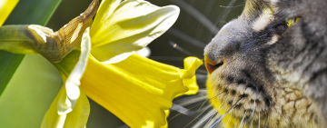 Советы астрологов: гороскоп на неделю с 9 по 15 марта 