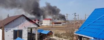 В Затоке снова пожар (ВИДЕО)