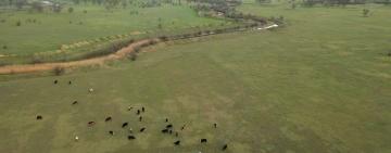 Помогите спасти луг!