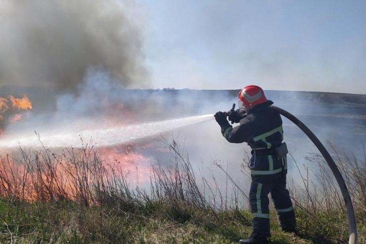 Уряд хоче підвищити штрафи за підпал сухостою. Чому це важливо?