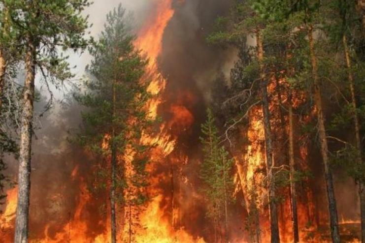 Зеленський відреагував на занепокоєння громадськості через пожежу в Чорнобилі