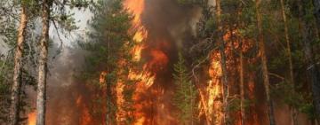 Зеленський відреагував на занепокоєння громадськості через пожежу в Чорнобилі