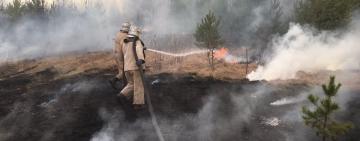 Штрафи за підпал трави та вирубку лісів зросли - до 36 000 гривень 