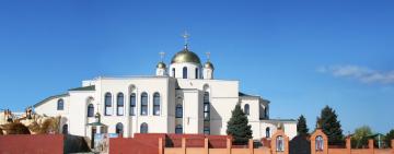 Заболевшая COVID-19 насельница монастыря в Теплодаре стала относиться к нему «условно»