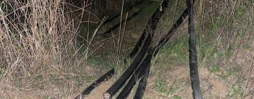 Полицейские предотвратили кражу кабеля и отказались от взятки