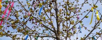 В Килии работники культуры организовали оригинальный  флэшмоб и призывают всех присоединиться к традициям