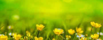 Гороскоп на неделю с 20 по 26 апреля