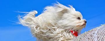 Ветер и заморозки: в Одесской области объявлено штормовое предупреждение