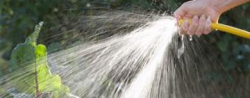 «Зневоднення»: на Одещині селянам заборонили поливати городи водою зі скважин