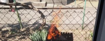 Соседские войны против АТОшника в Арцизе