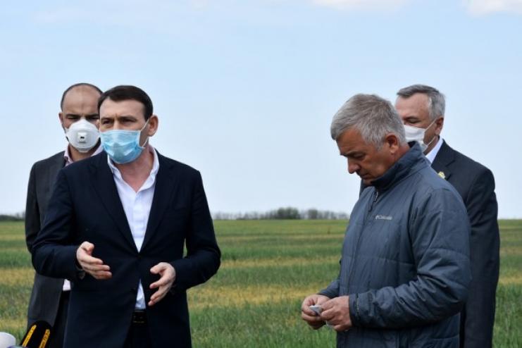Рекордний неврожай: Одеська облрада звернеться до центральної влади